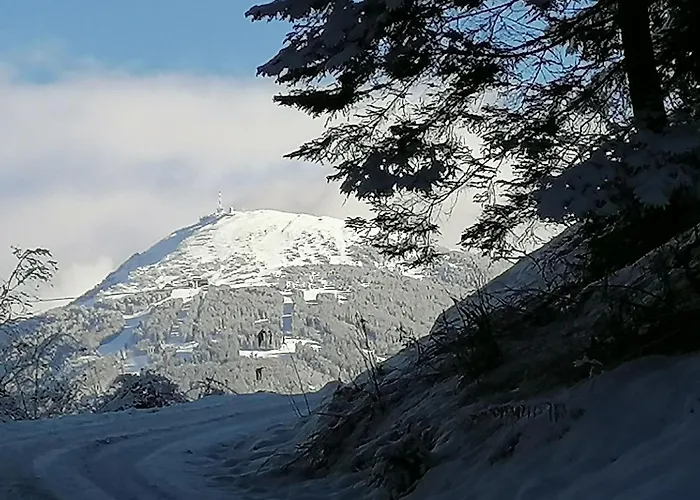 Riedbach In Mutters By Interhome Apartment Innsbruck