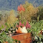 Riedbach In Mutters By Interhome *