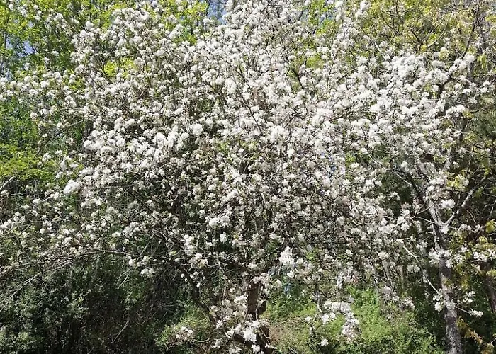 Daire Riedbach In Mutters By Interhome İnnsbruck